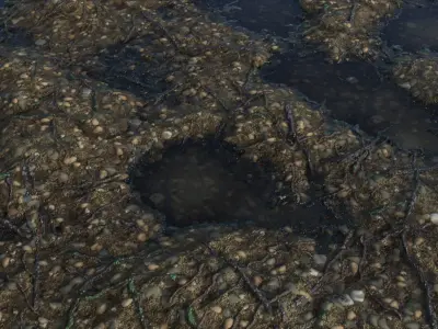 4 - Organic Materials For Environtment Texture