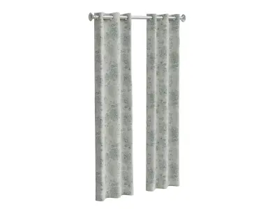 Blue Floral Curtain 3D model