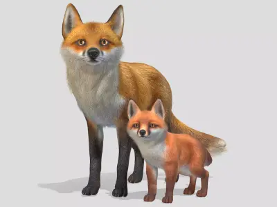 FOX FAMILY Low-poly 3D model