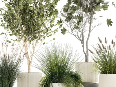 Beautiful bushes trees and grass in a flower pot for decoration  3D model