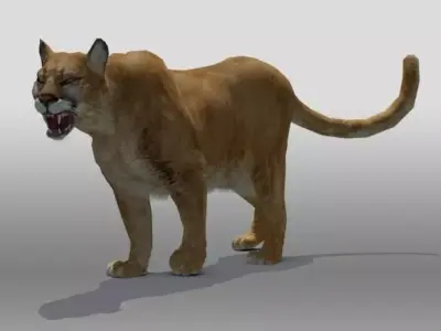 Mountain Lion 3D model