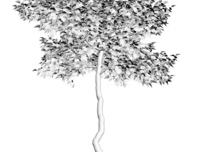 Young tree in ceramic pot 3D model