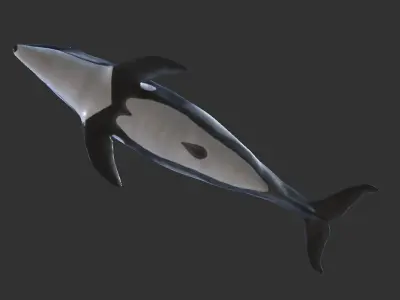 White-sided dolphin Low-poly 3D model