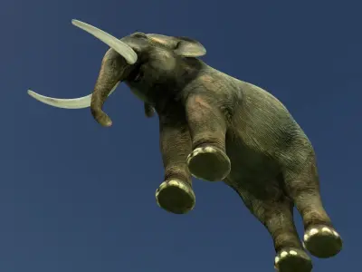 Indian elephant Low-poly 3D model