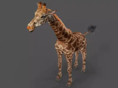 Fur Giraffe NO Rigged in Blender Low-poly 3D model