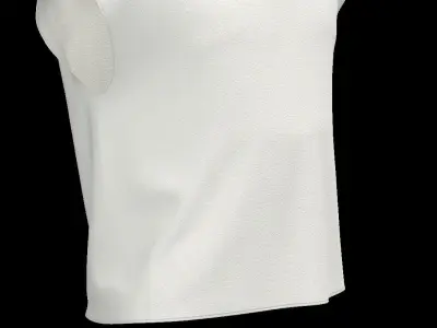 Summer Blouse Marvelous Designer 3D model