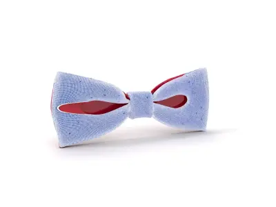 Elegant Burgundy Bowtie model pack Low-poly 3D model