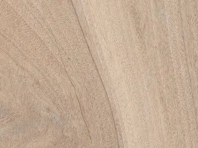 Flaviker Aspen Natural 20x120 Texture