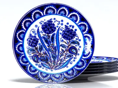 Plate Central Asia 3D model