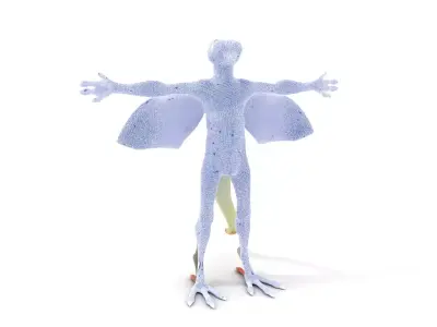 Flying Reptile Creature Model Pack with Dynamic Wings Low-poly 3D model