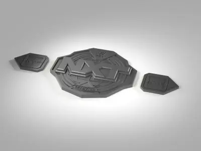 WWE NXT Womens Championship Belt 3D print model