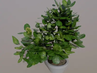 Small Plant Game Ready Low-poly 3D model Low-poly 3D model