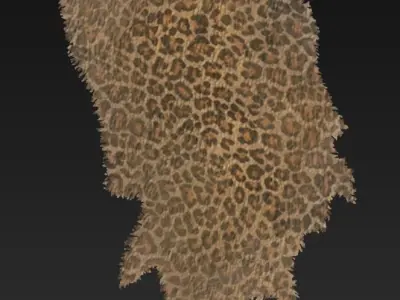 Animal Hide Low-poly 3D model