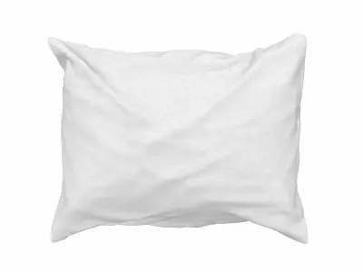 Solid Pillow 12 3D model