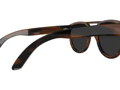 Stylish Eyewear Tortoise Shell Sunglasses  Low-poly 3D model