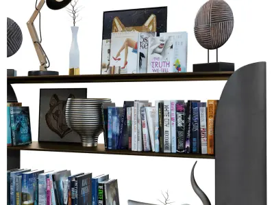 Davis Vida Shelving Low-poly 3D model