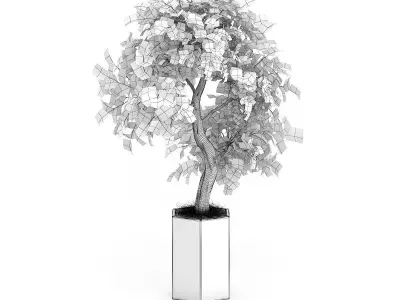 Bonsai Tree in Grey Pot 3D model
