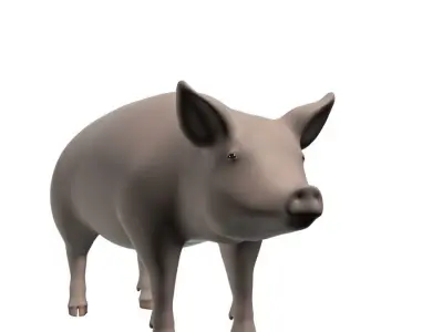 Realistic Pig 001 3D model