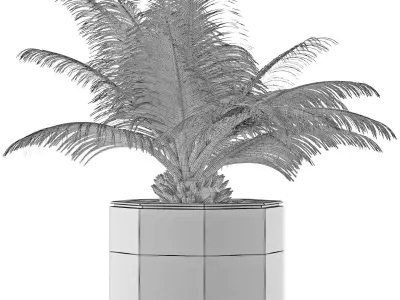House Plant 28 3D model