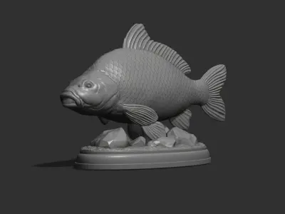 Carp fish on the base 3D print model