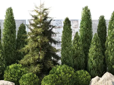 Garden with thuja cypress pine and topiary plant 1381 3D model