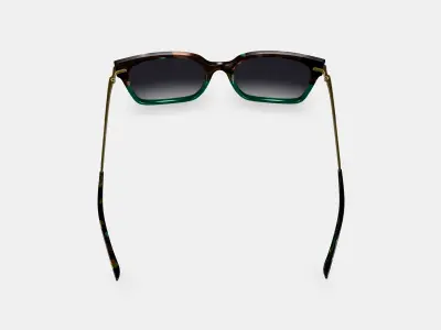 Vela Sunglasses in Aventurine Tortoise with Polished Gold 3D model