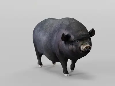 Vietnamese Pot-Bellied Pig Animal Low-poly 3D model