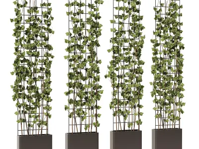 Ivy On Trellis - Set1 3D model