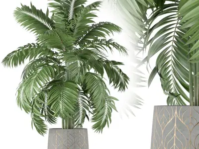 Plants collection 219 3D model