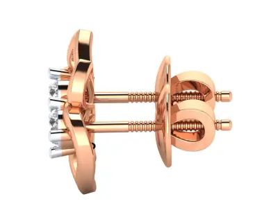 Women Earrings 3D print model