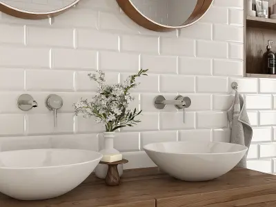 Furniture and decor for the Bathroom 3D model