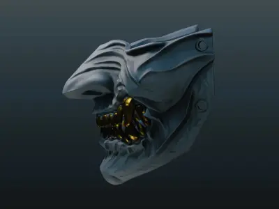 Menpo Mask 18 Half Face 3D print model