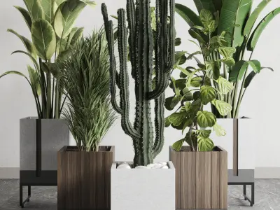 Indoor plant wooden and concrete dirt vase bax pot palm cactus 3D model