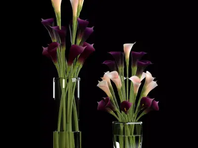 callalilly purple set 3D model