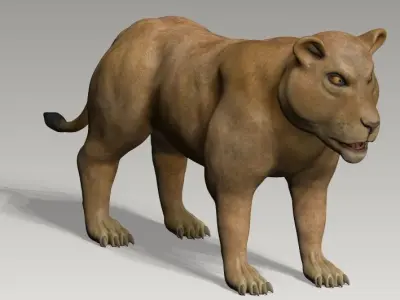 Lion and lioness Low-poly 3D model