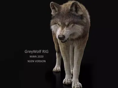 Wolf 2 RIGGED XGEN igs 3D model