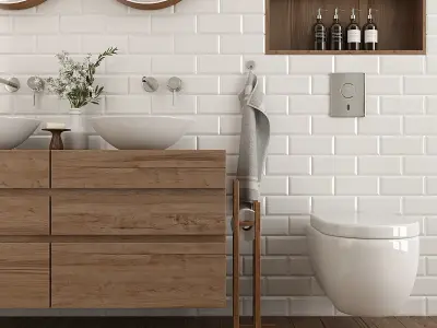 Furniture and decor for the Bathroom 3D model