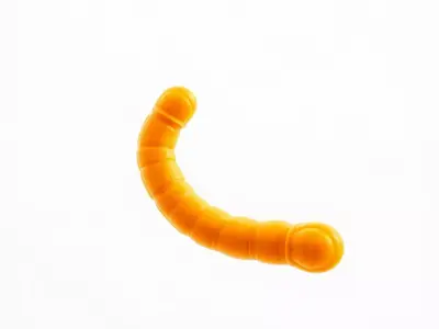 Orange Worm model pack Low-poly 3D model