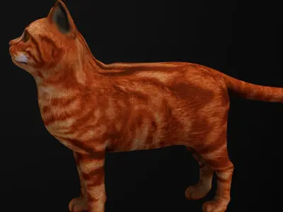 Cat 3D model orange tabby Low-poly 3D model