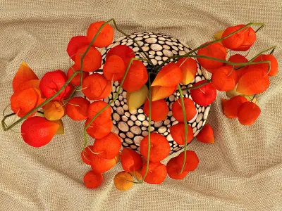 physalis in a vase 3D model