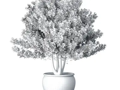 Decorative garden tree potted decoration Provence style 3D model