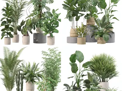 20 Photorealistic Flowers for Interiors - set 201 205 207 209 3D Model Collection