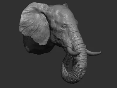 Elephant head 3D print model purchase