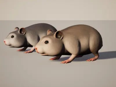 Hamster stylized Low-poly 3D model