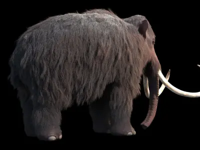 Woolly Mammoth - Mammuthus primigenius 3D model