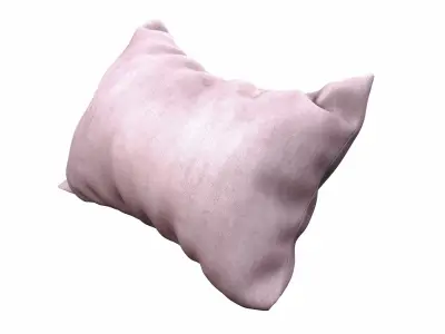Velvet Rectangular Pillow 3D model