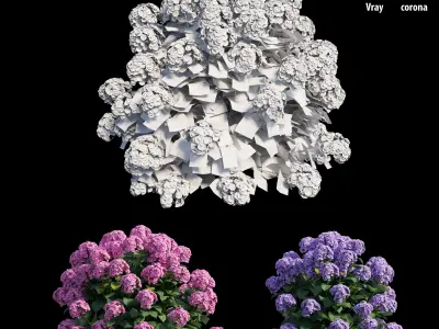 Hydrangea Plant set 23 3D model