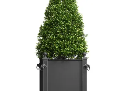 Modern Boxwood in the garden planter RH ArtDeco 3D model