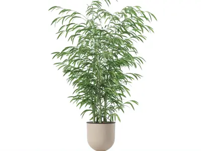 Bamboo in modern flower pot 3D model