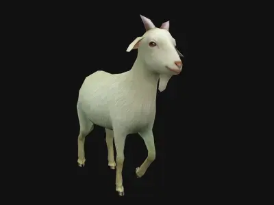 animated goat sheep Low-poly 3D model